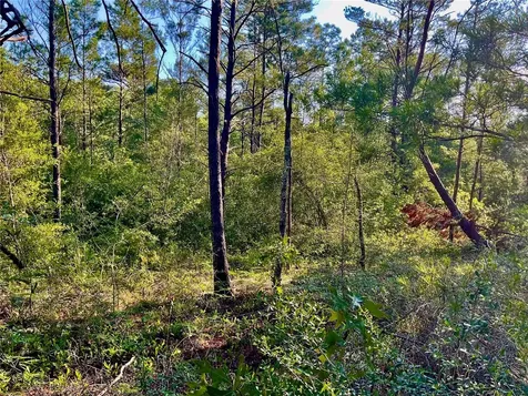 Pinetree Lane Defuniak Springs FL 32433