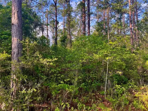 Pinetree Lane Defuniak Springs FL 32433
