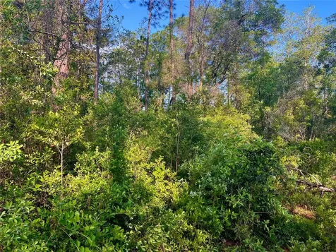Pinetree Lane Defuniak Springs FL 32433