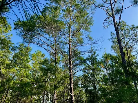 Pinetree Lane Defuniak Springs FL 32433