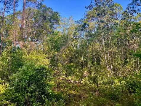 Pinetree Lane Defuniak Springs FL 32433