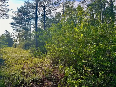 Pinetree Lane Defuniak Springs FL 32433