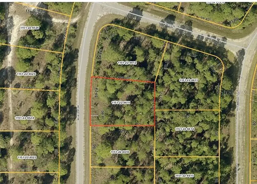 Blueleaf Drive North Port FL 34288