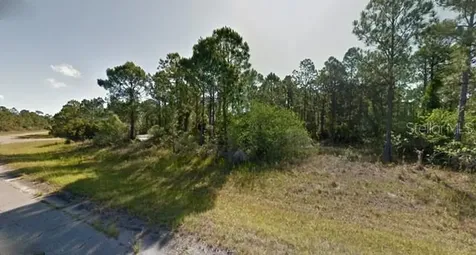 Blueleaf Drive North Port FL 34288