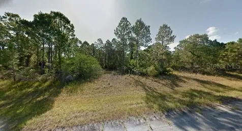 Blueleaf Drive North Port FL 34288