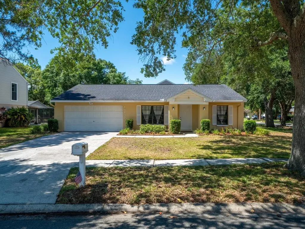 16132 Country Crossing Drive Tampa FL 33624