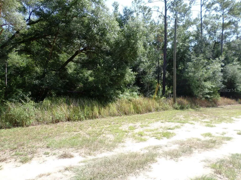 796 W Lightwood Street Citrus Springs FL 34434