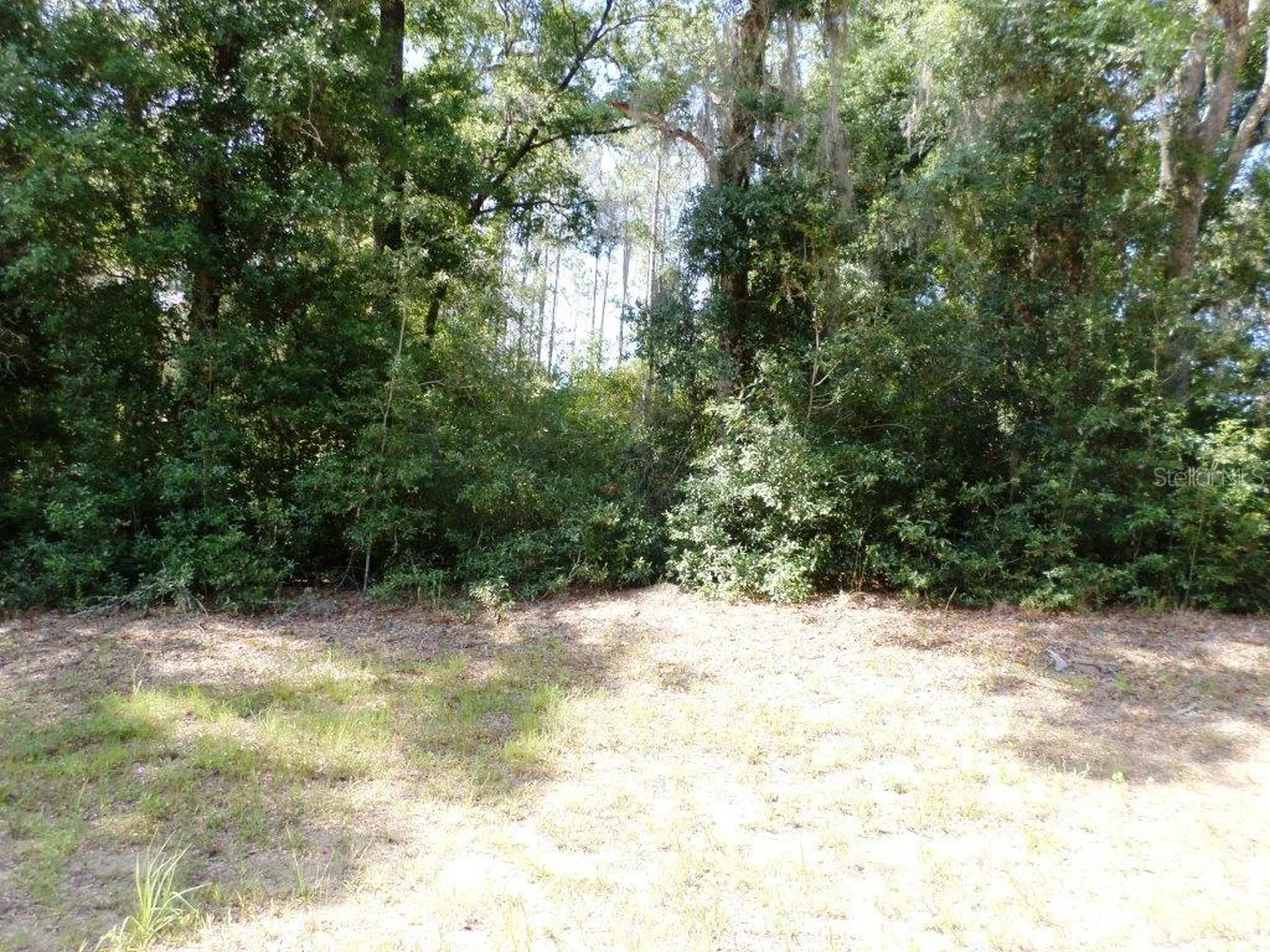796 W Lightwood Street Citrus Springs FL 34434