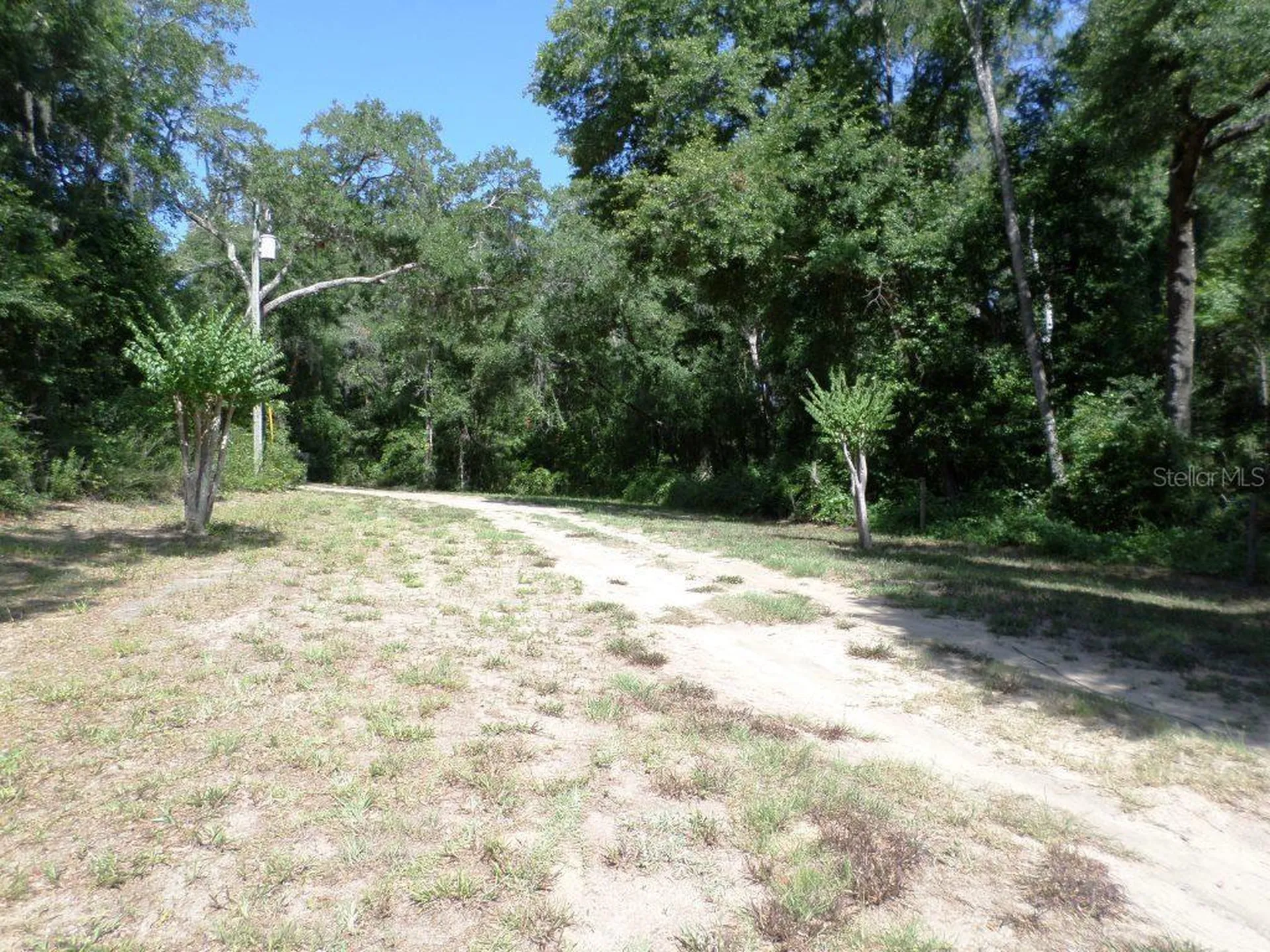 796 W Lightwood Street Citrus Springs FL 34434