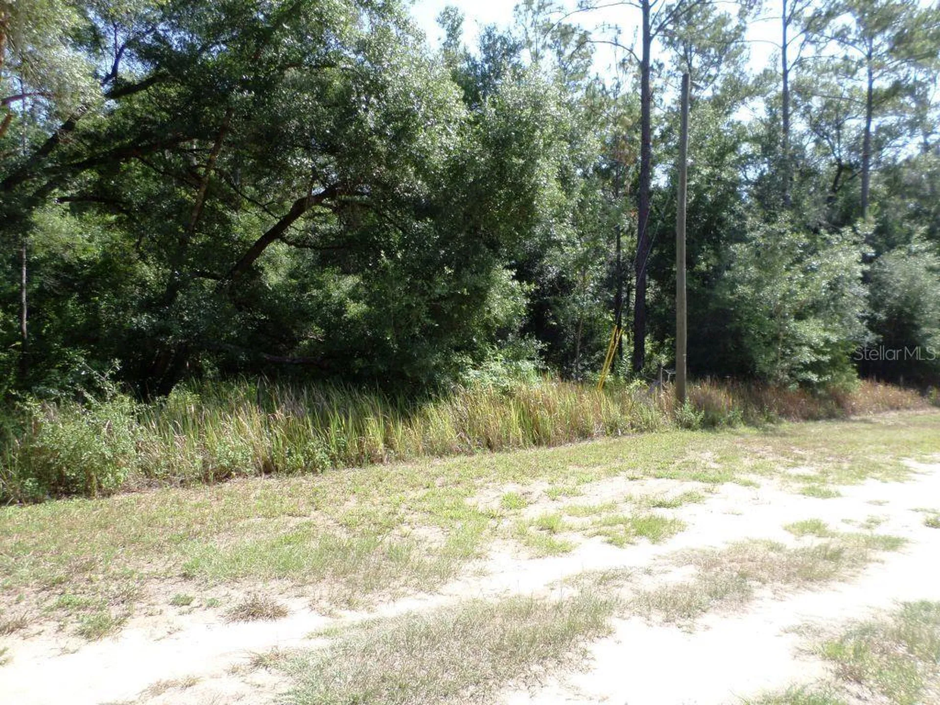 796 W Lightwood Street Citrus Springs FL 34434