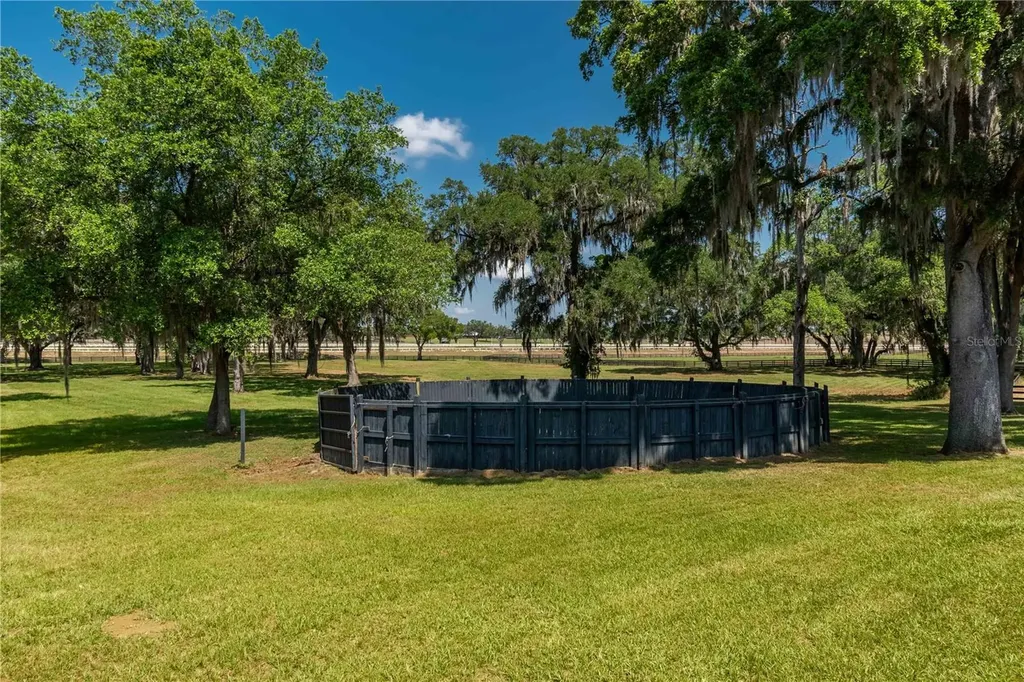 3670 SE 148th Terrace Morriston FL 32668