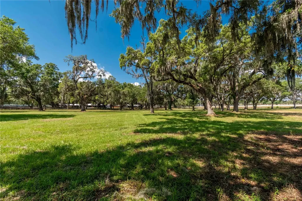 3670 SE 148th Terrace Morriston FL 32668