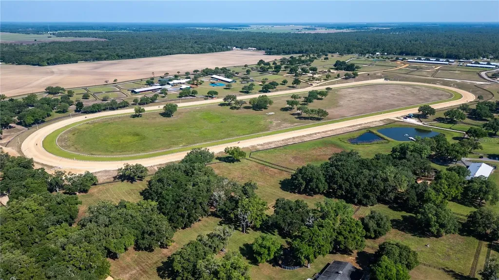 3670 SE 148th Terrace Morriston FL 32668