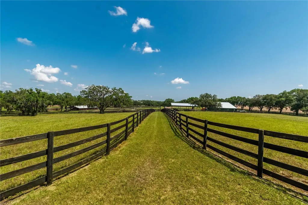 3670 SE 148th Terrace Morriston FL 32668