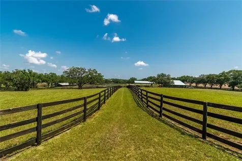 3670 SE 148th Terrace Morriston FL 32668