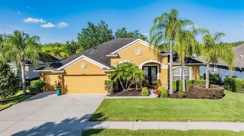 8806 Crystal Creek Court Land O Lakes FL 34638