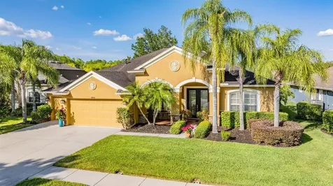 8806 Crystal Creek Court Land O Lakes FL 34638