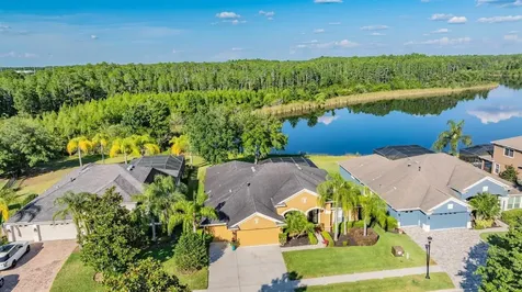 8806 Crystal Creek Court Land O Lakes FL 34638