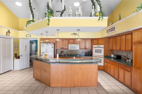 2513 Kaley Wood Court Saint Cloud FL 34772