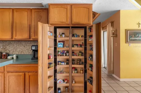 2513 Kaley Wood Court Saint Cloud FL 34772