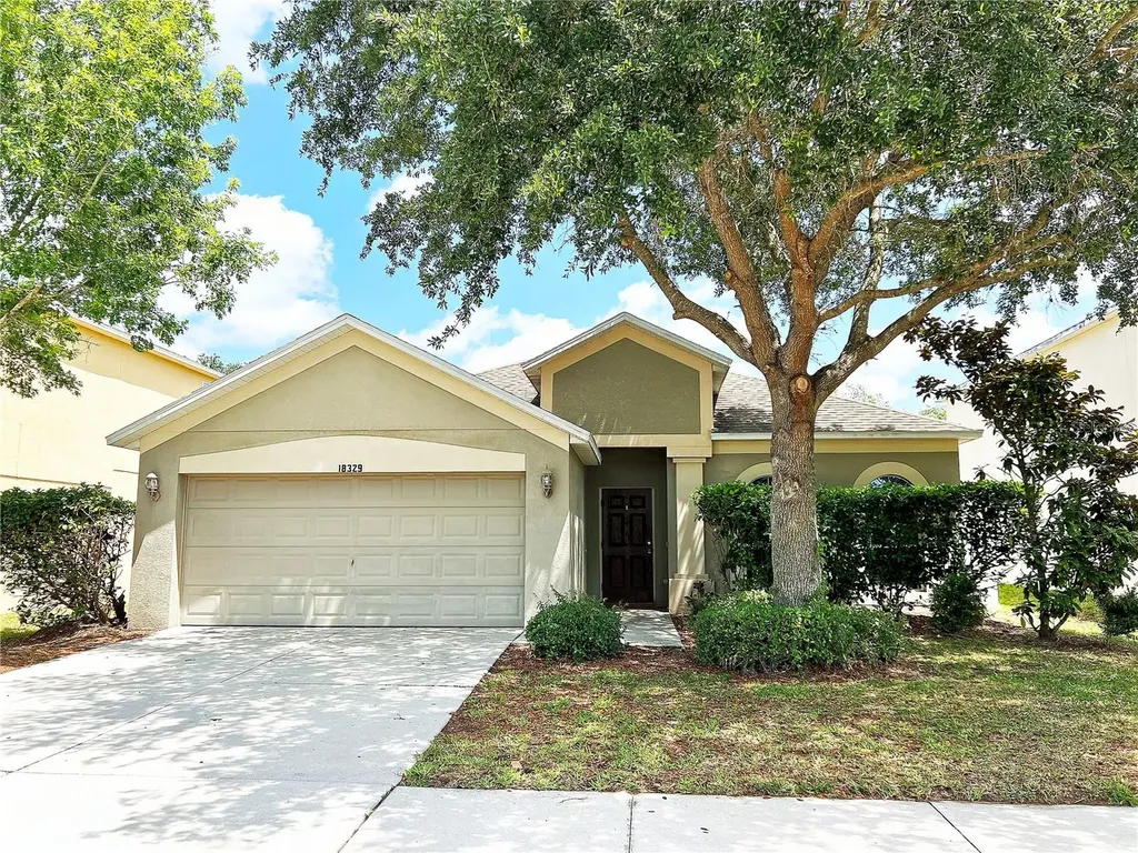 18329 Dajana Avenue Land O Lakes FL 34638