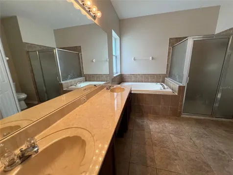 18329 Dajana Avenue Land O Lakes FL 34638