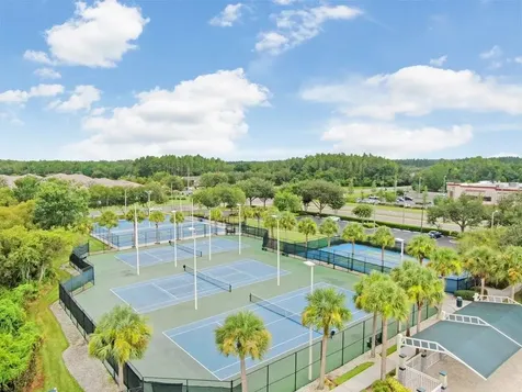 30215 Emmetts Court Wesley Chapel FL 33543