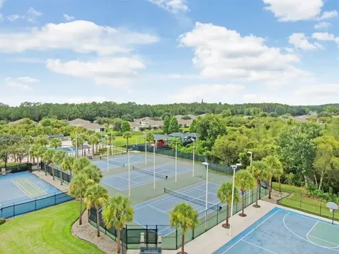 30215 Emmetts Court Wesley Chapel FL 33543