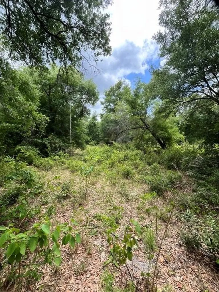Tbd 170th SE Avenue Road Ocklawaha FL 32179