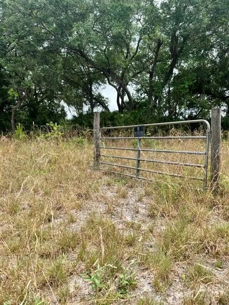 Tbd 170th SE Avenue Road Ocklawaha FL 32179