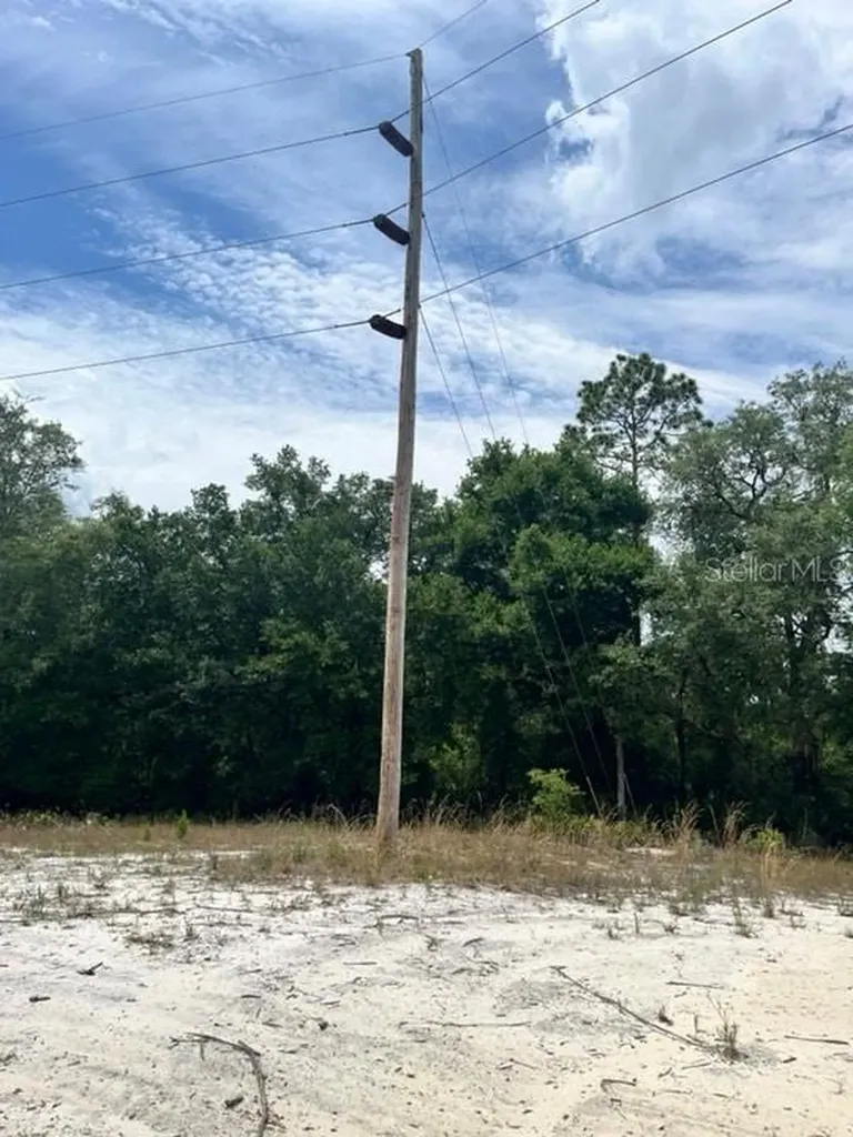 Tbd 170th SE Avenue Road Ocklawaha FL 32179
