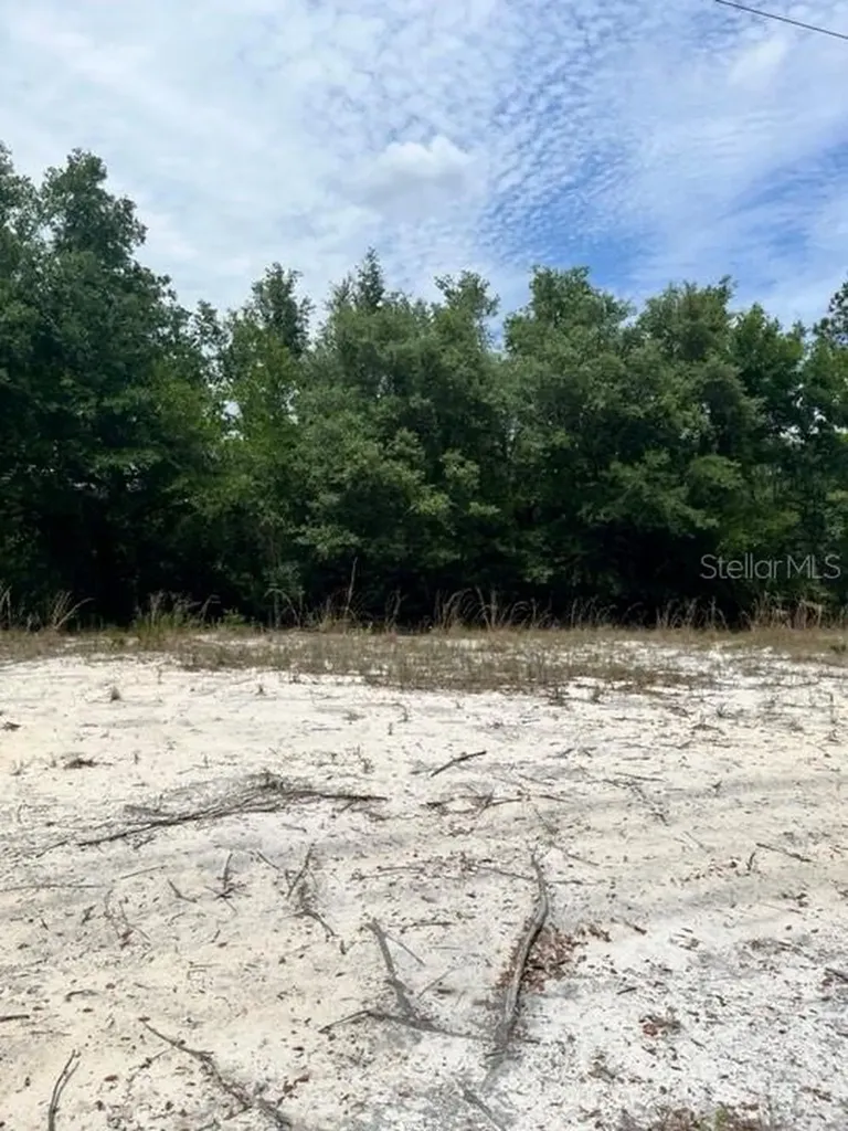 Tbd 170th SE Avenue Road Ocklawaha FL 32179