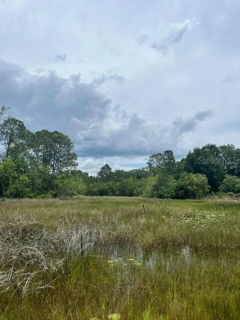 Tbd 170th SE Avenue Road Ocklawaha FL 32179