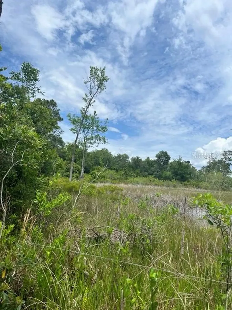 Tbd 170th SE Avenue Road Ocklawaha FL 32179