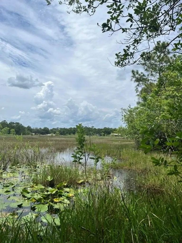 Tbd 170th SE Avenue Road Ocklawaha FL 32179