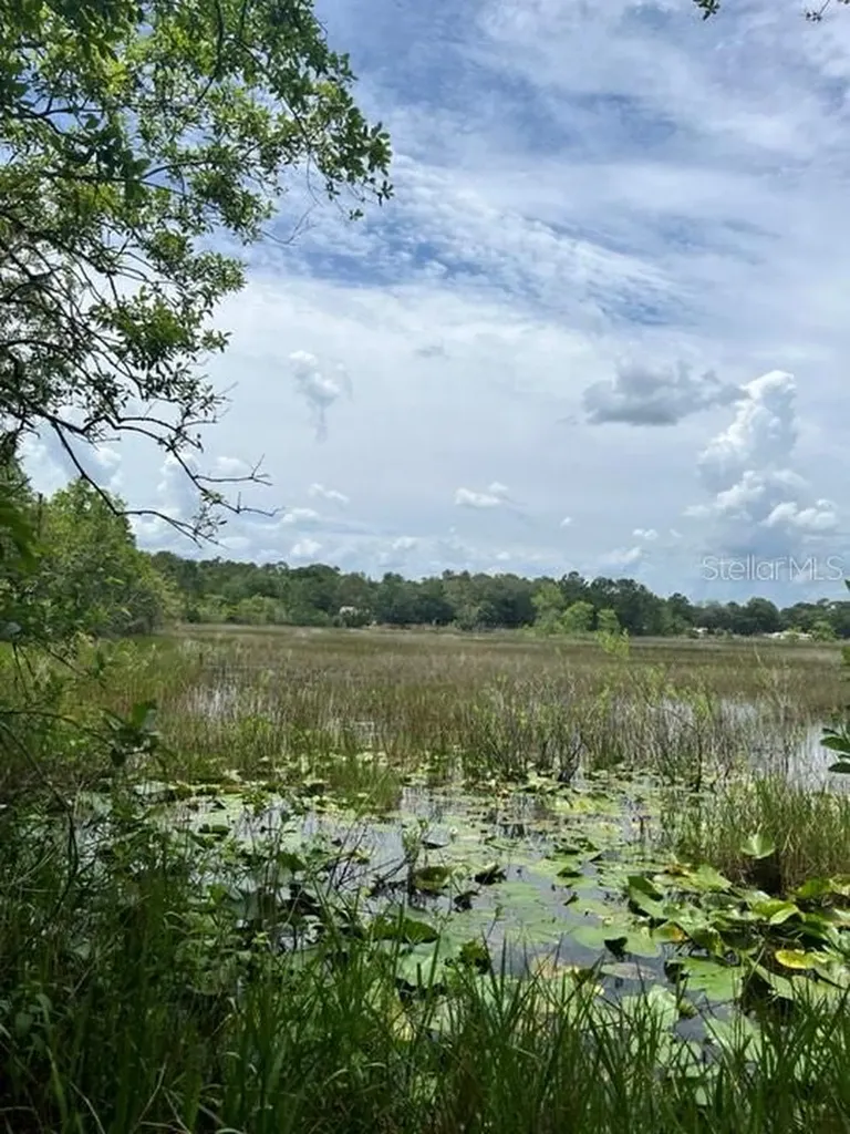 Tbd 170th SE Avenue Road Ocklawaha FL 32179