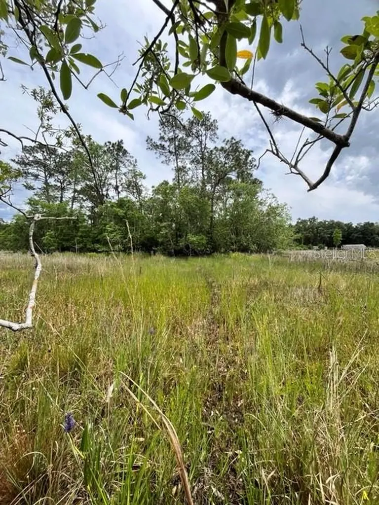 Tbd 170th SE Avenue Road Ocklawaha FL 32179
