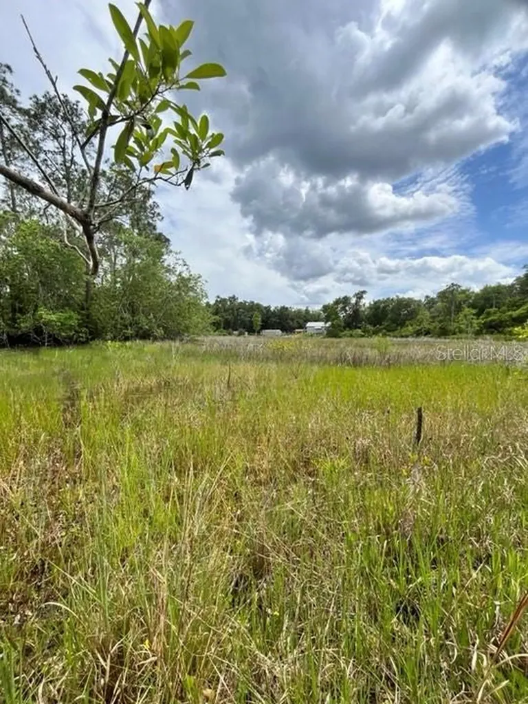 Tbd 170th SE Avenue Road Ocklawaha FL 32179