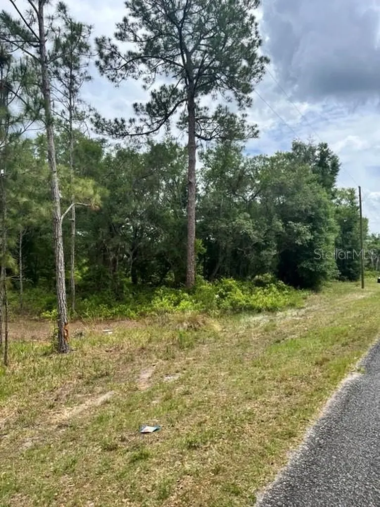 Tbd 170th SE Avenue Road Ocklawaha FL 32179