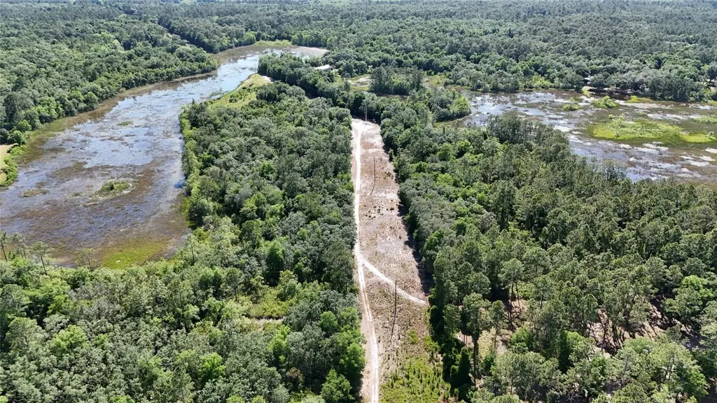 Tbd 170th SE Avenue Road Ocklawaha FL 32179
