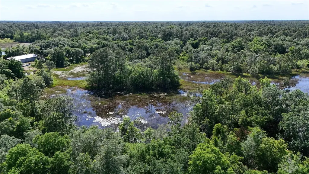 Tbd 170th SE Avenue Road Ocklawaha FL 32179