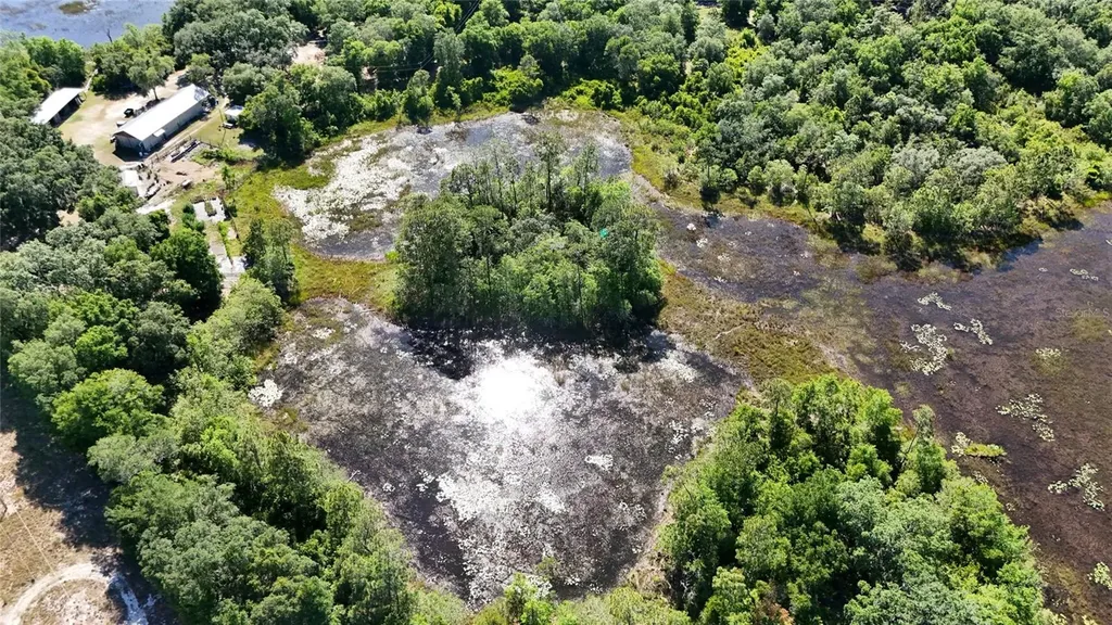 Tbd 170th SE Avenue Road Ocklawaha FL 32179