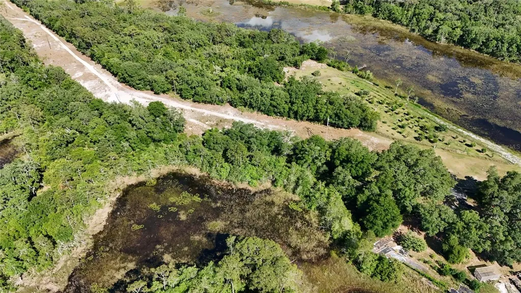 Tbd 170th SE Avenue Road Ocklawaha FL 32179