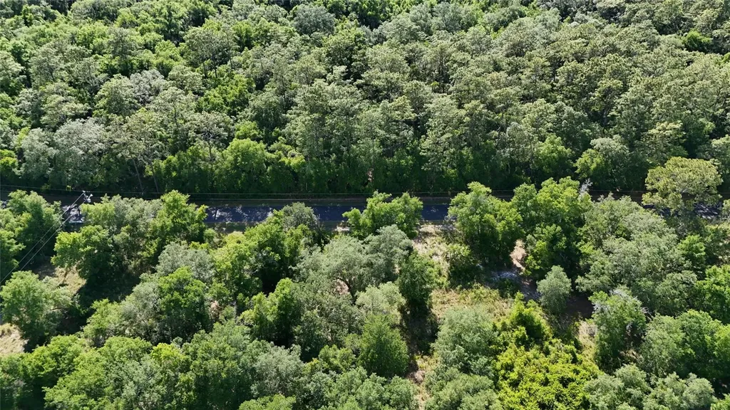 Tbd 170th SE Avenue Road Ocklawaha FL 32179