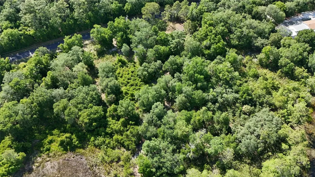 Tbd 170th SE Avenue Road Ocklawaha FL 32179