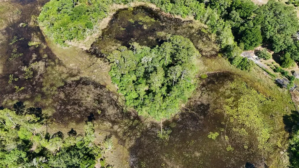 Tbd 170th SE Avenue Road Ocklawaha FL 32179