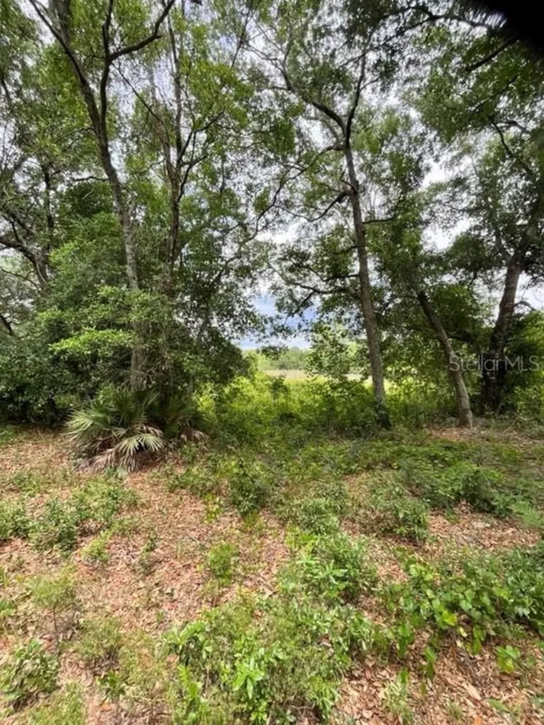 Tbd 170th SE Avenue Road Ocklawaha FL 32179