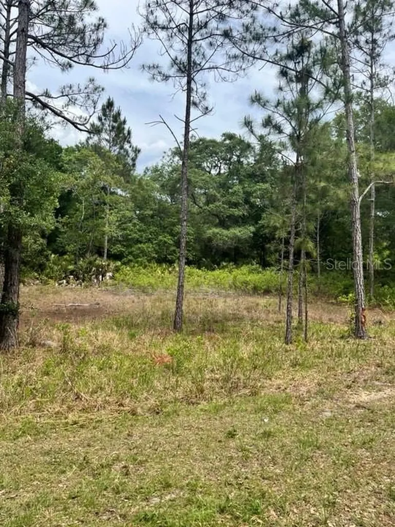 Tbd 170th SE Avenue Road Ocklawaha FL 32179