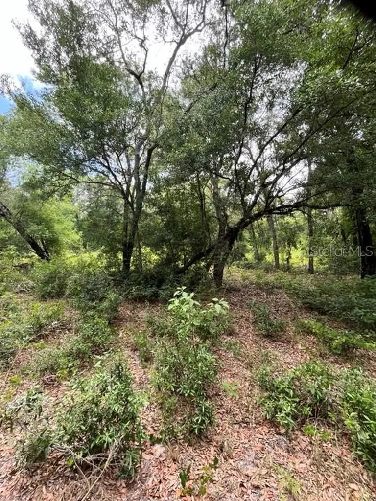 Tbd 170th SE Avenue Road Ocklawaha FL 32179