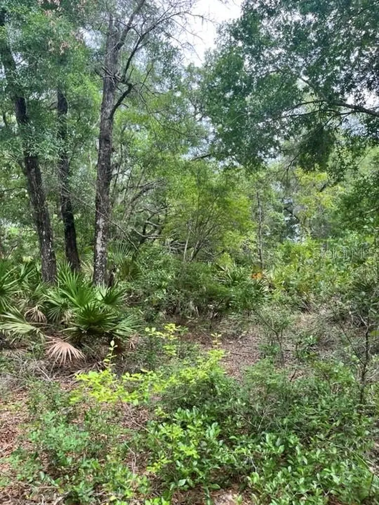 Tbd 170th SE Avenue Road Ocklawaha FL 32179
